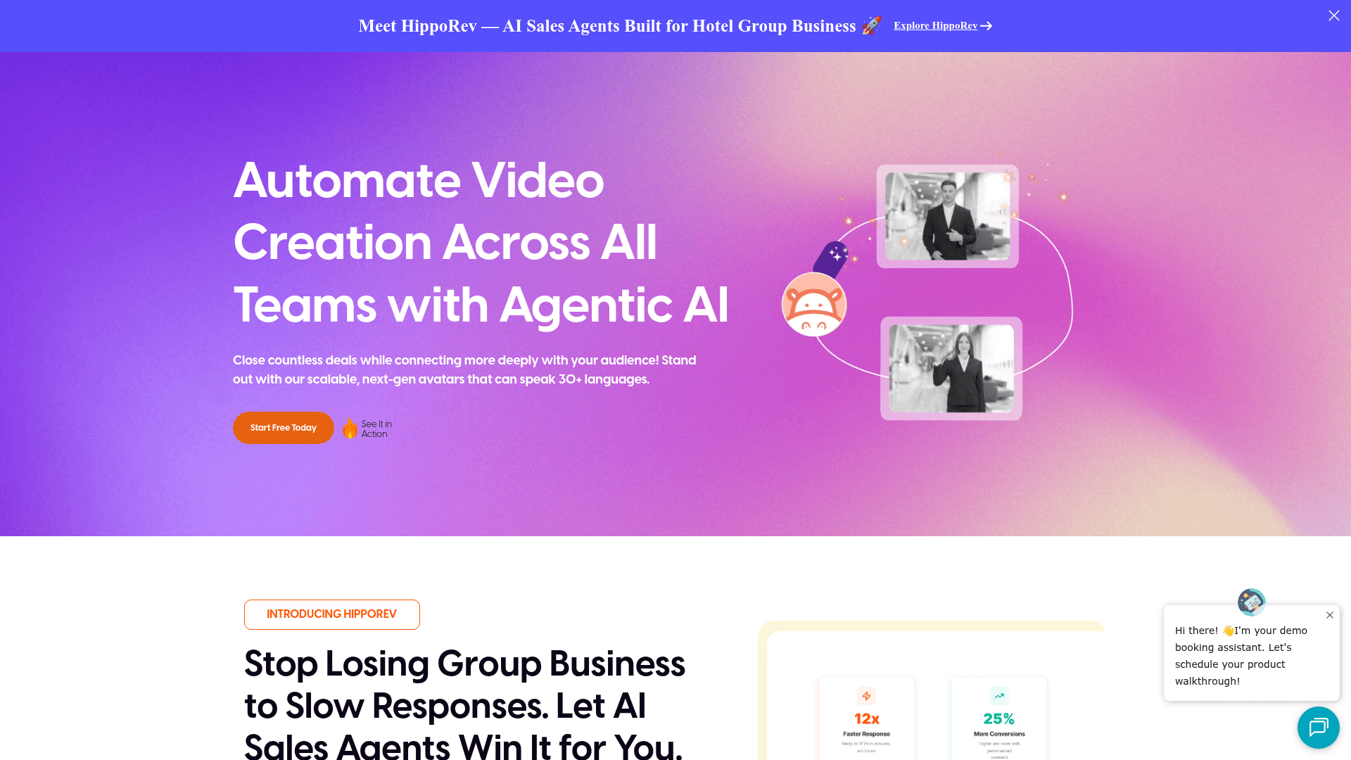 HippoVideo screenshot