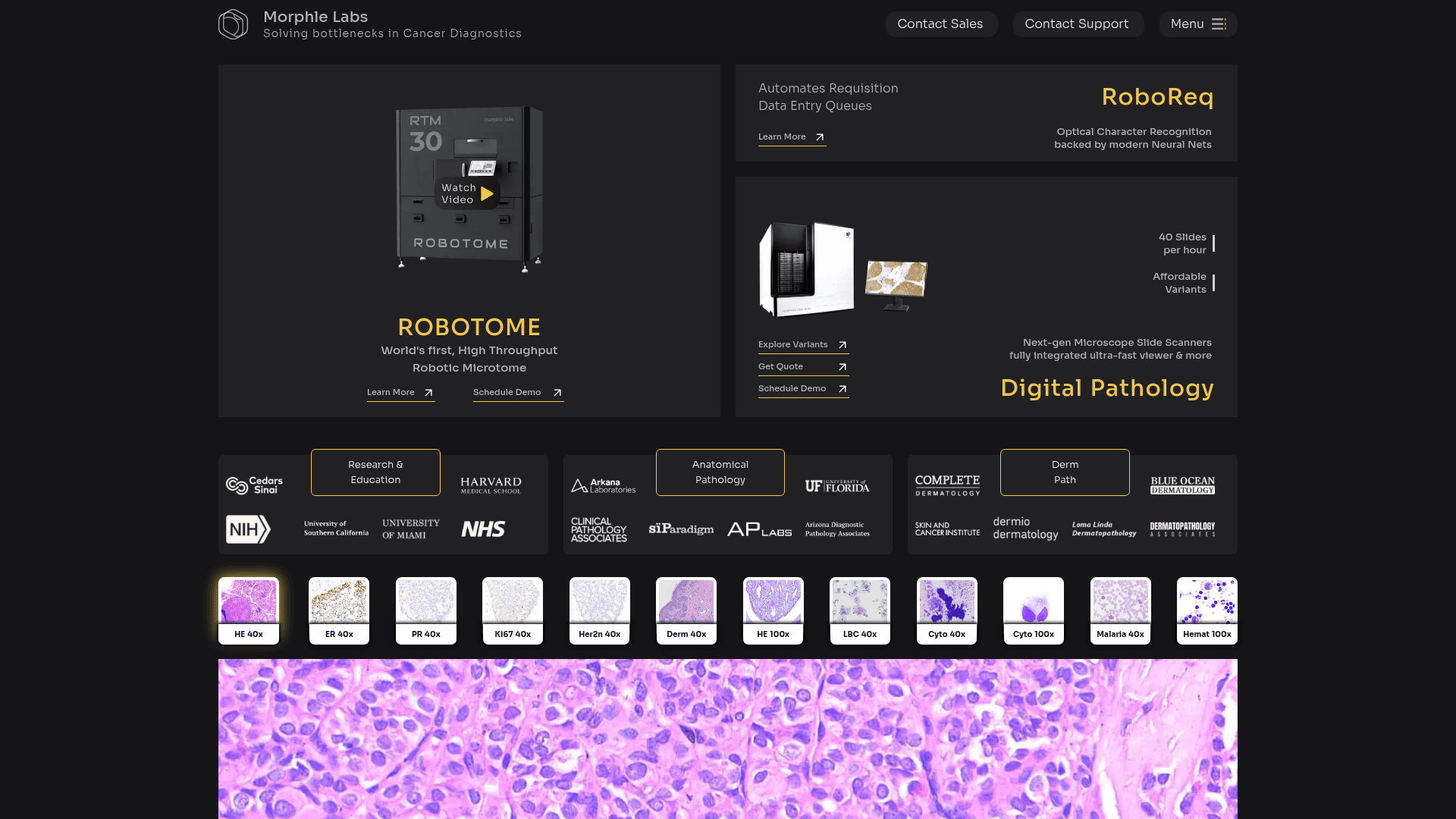 Morphle Labs screenshot