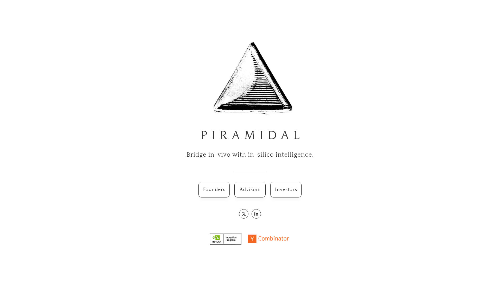 Piramidal screenshot