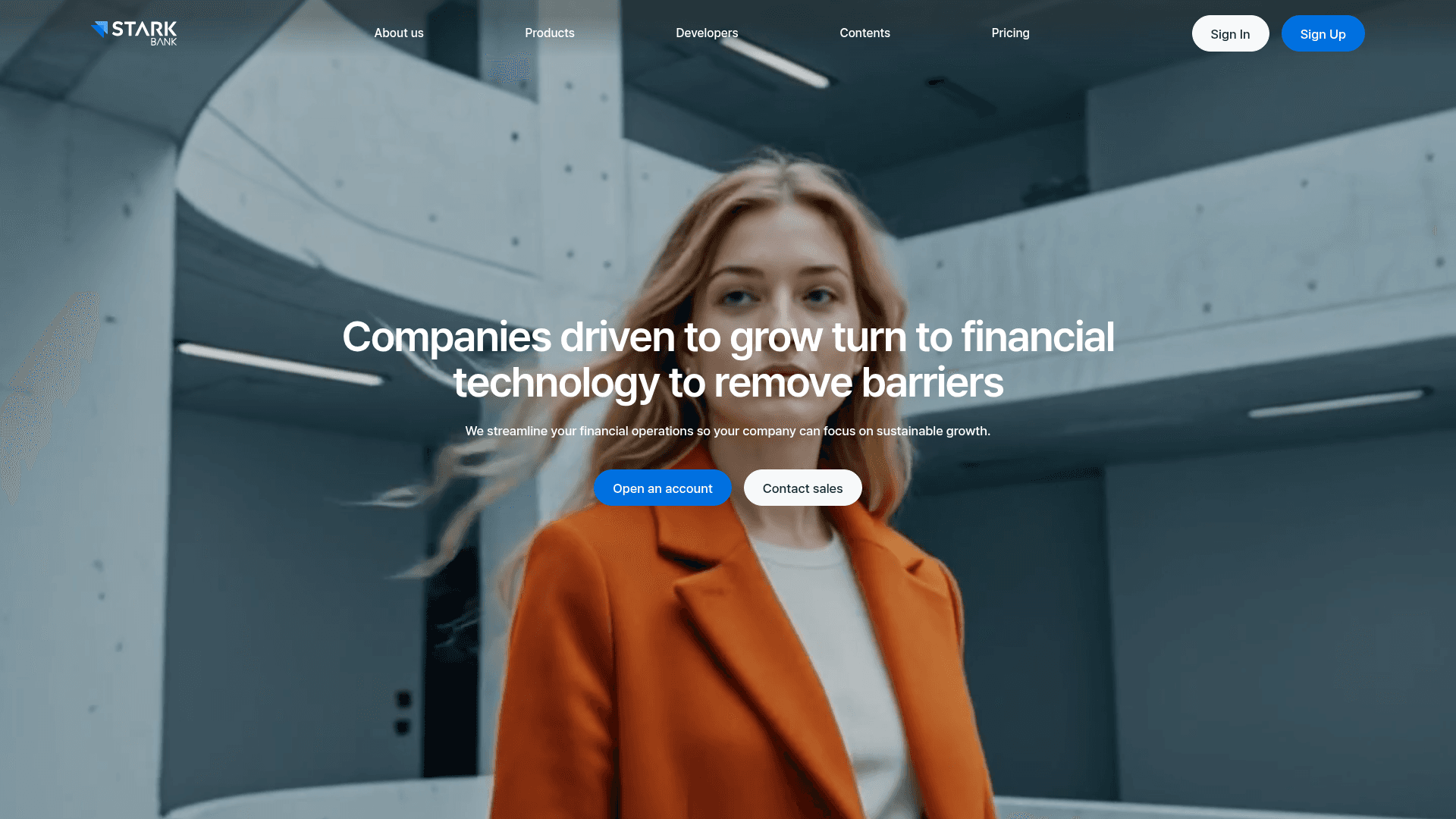 STARK BANK screenshot