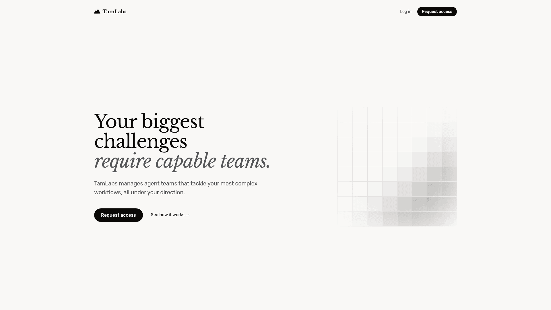 TamLabs screenshot