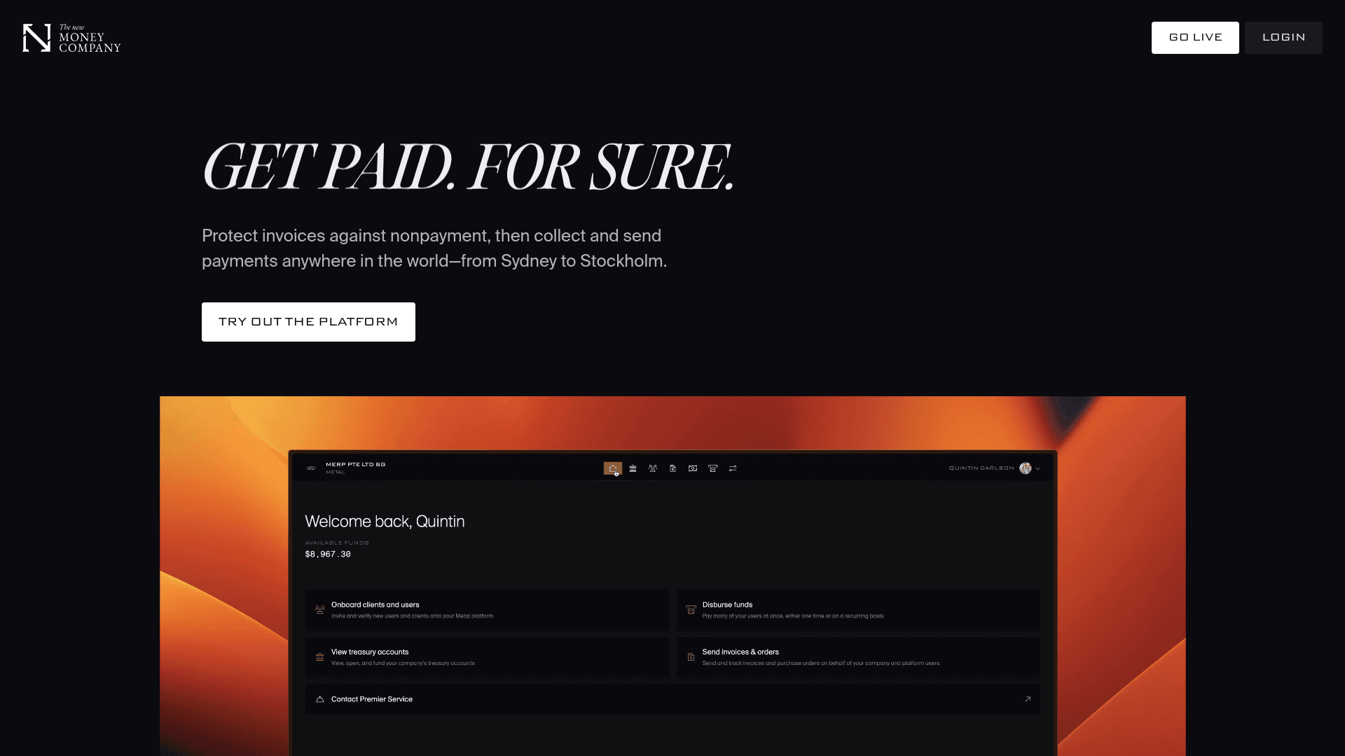 The New Money Company screenshot